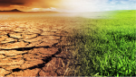 Mời viết bài - Hội thảo quốc tế "Biến đổi khí hậu và an ninh lương thực của các nước phương Nam"